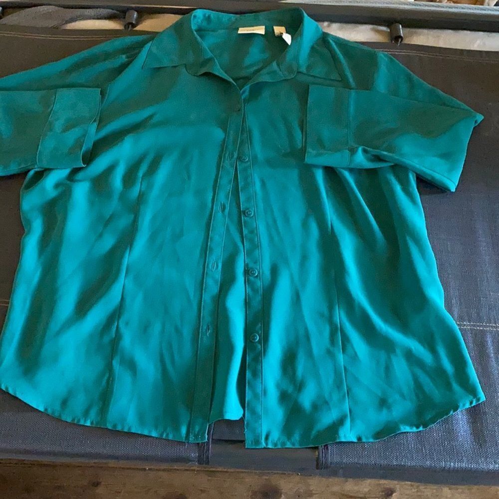 Covington Button Down Shirt sz. L petite